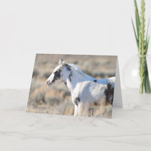 Cartão De Agradecimento Thora dos Picos McCullough