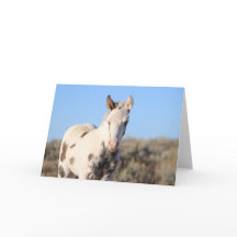 Thora dos Picos McCullough