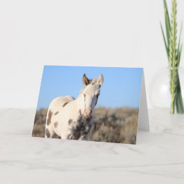 Cartão De Agradecimento Thora dos Picos McCullough