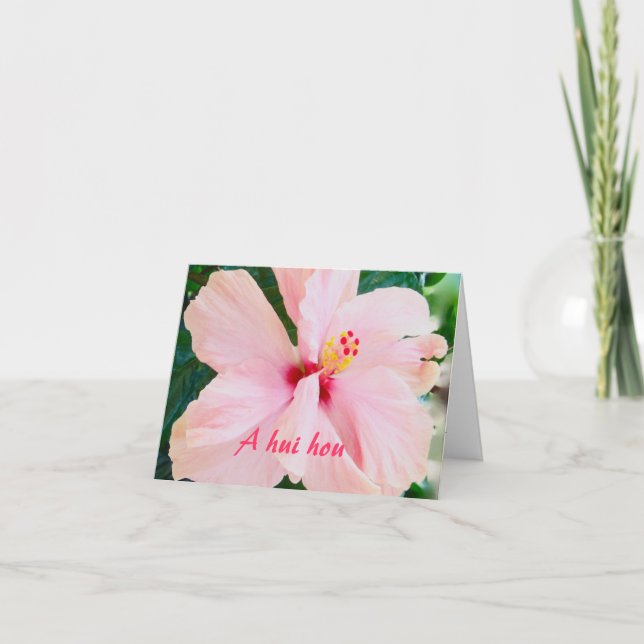 Cartão De Agradecimento Til We Meet Again Hibiscus Sympathy (Frente)