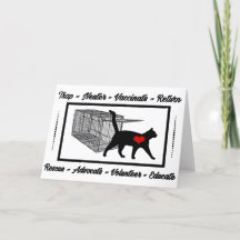 TNR Cat Resgate Trap Neuter Return Adote Volunteer