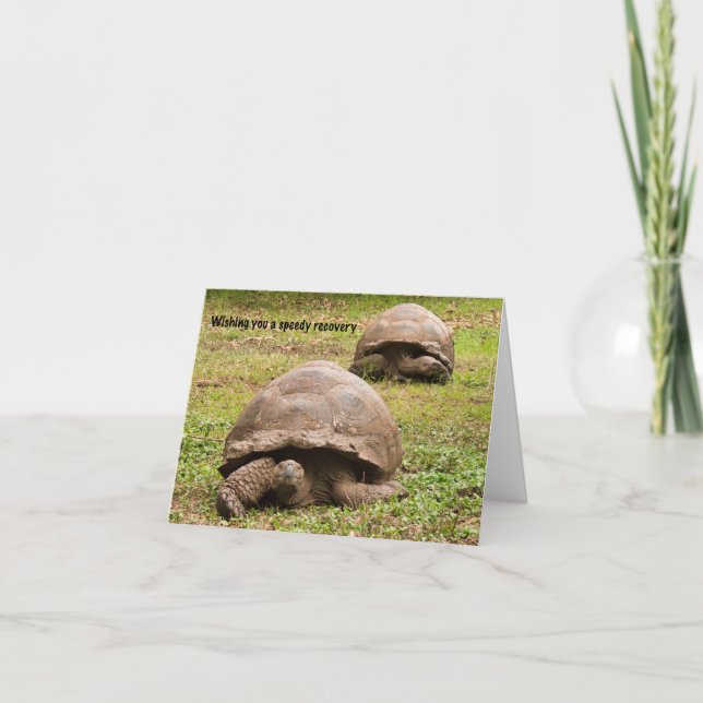 Cartão De Agradecimento Tortoise Engraçado Fica Bem (Frente)