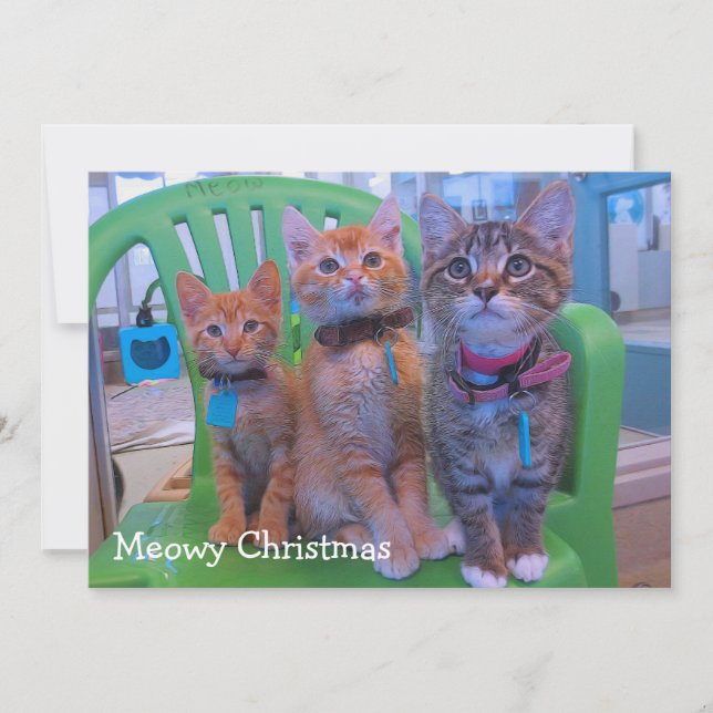 Cartão De Agradecimento Três gatinhos Meowy (Frente)