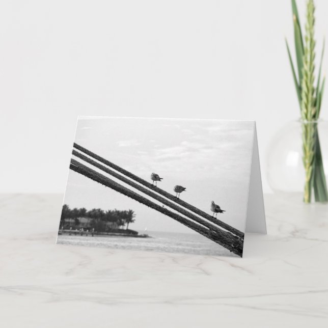 Cartão De Agradecimento Três Pequenas Aves ~ Férias (Frente)