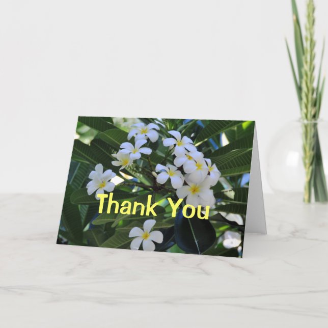 Cartão De Agradecimento Tropical Plumeria Flowers Thank You Card (Frente)