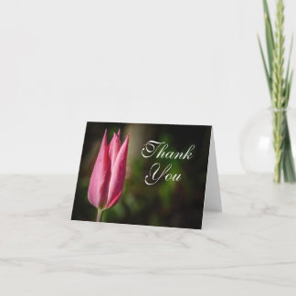 Cartão De Agradecimento Tulip Flower Thank You Card