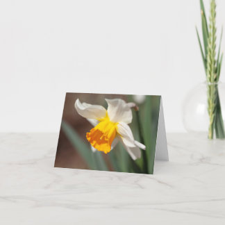Cartão De Agradecimento Tulipa Laranja e Creme