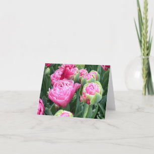 Cartão De Agradecimento Tulipas cor-de-rosa Vazios