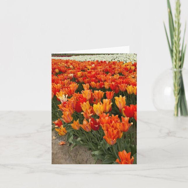 Cartão De Agradecimento Tulipas laranja no campo, Woodburn, OU (Frente)