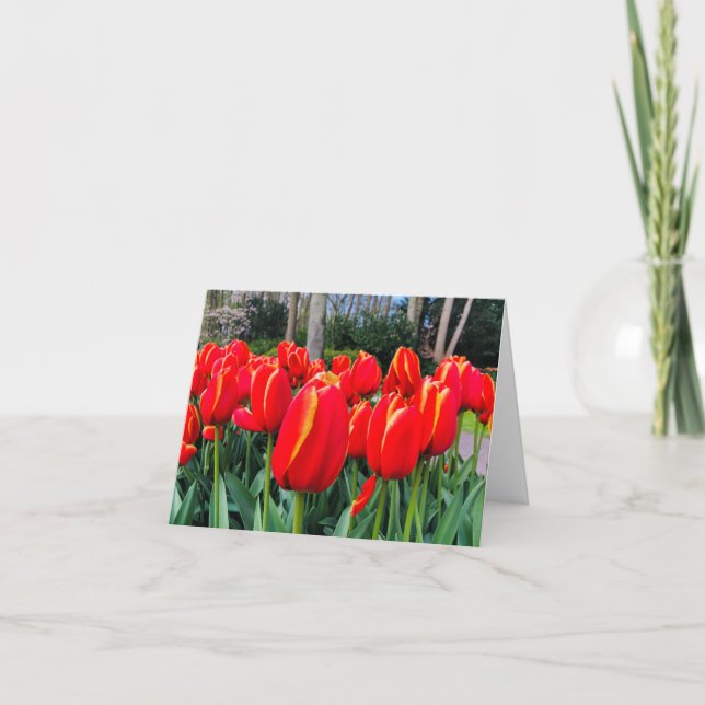 Cartão De Agradecimento Tulipas Vermelhas - Notecard (Frente)