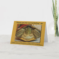 Turtle Card