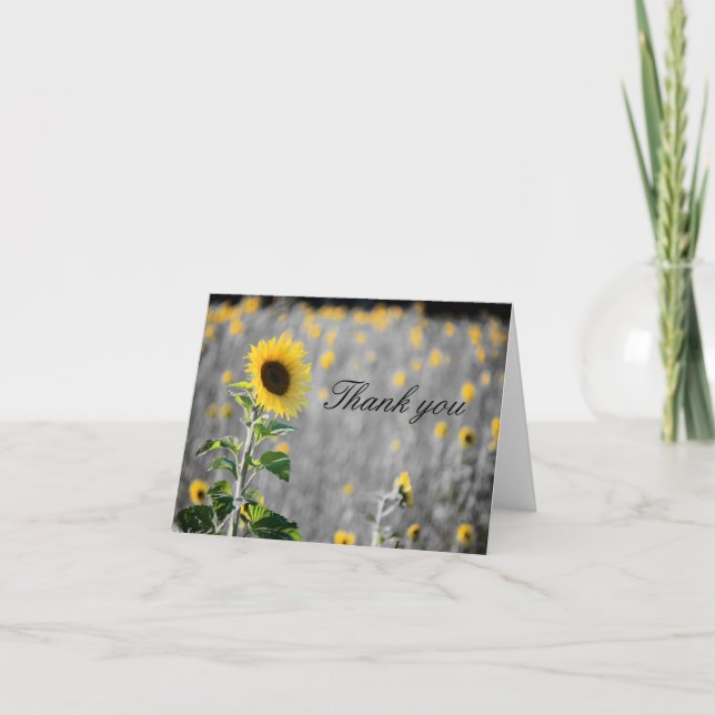 Cartão De Agradecimento Um Campo de Girassóis em Preto e Branco (Frente)