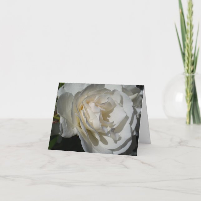 Cartão De Agradecimento um delicado hálito branco de pureza e inocência (Frente)