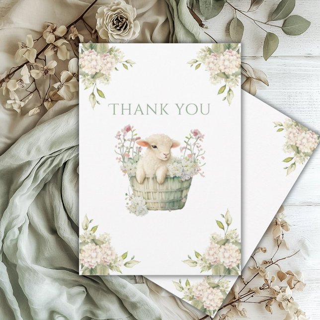 Cartão De Agradecimento Um Pequeno Lambchop Watercolor (Criador carregado)