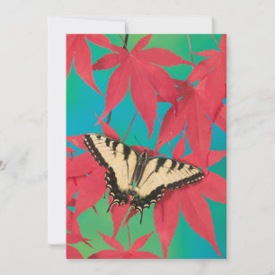 Cartão De Agradecimento Uma Borboleta Canadense Tiger Swallowtail