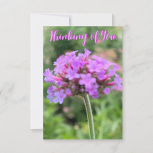 Cartão De Agradecimento Uma dica da placa de fechamento "Pensando em você"