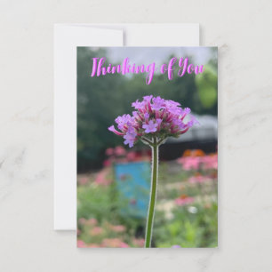 Cartão De Agradecimento Uma dica da placa Z "Pensando em você"