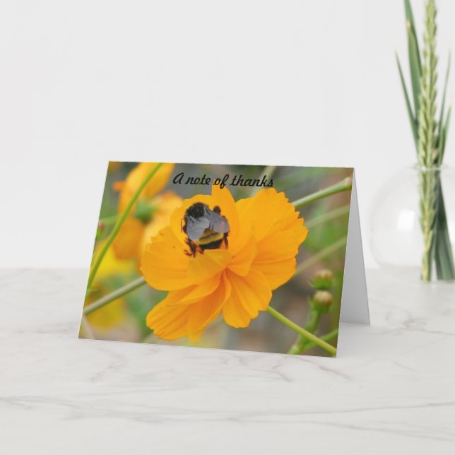 Cartão De Agradecimento Uma nota de obrigados (Frente)