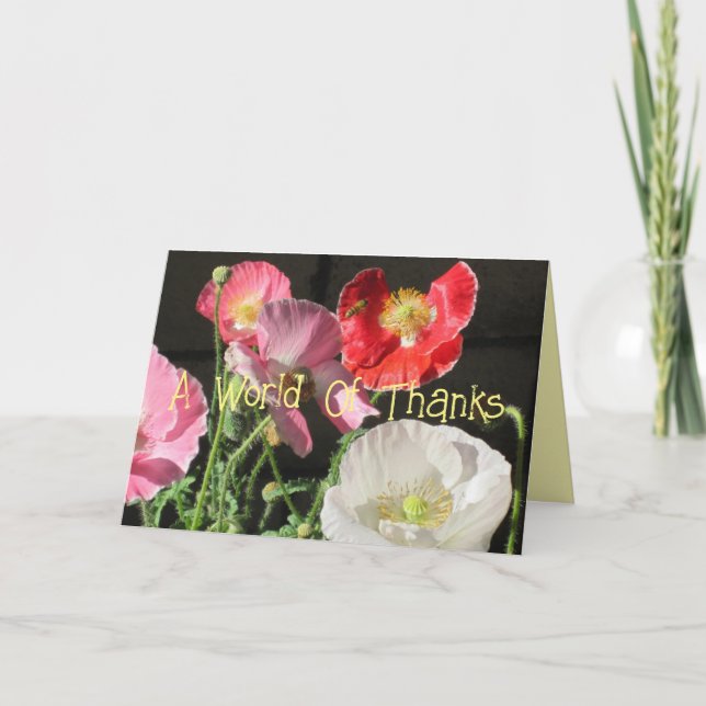 Cartão De Agradecimento Uma Palavra De Obrigados (Frente)