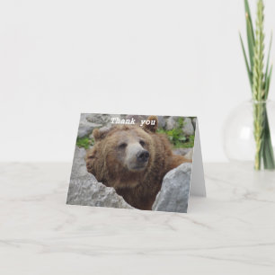 Cartão De Agradecimento Urso Kodiak