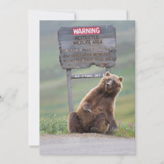 Cartão De Agradecimento Urso Pardo Brinca Com Placa