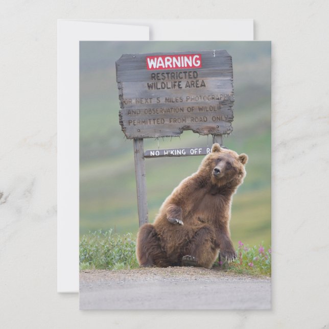 Cartão De Agradecimento Urso Pardo Brinca Com Placa (Frente)