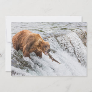 Cartão De Agradecimento Urso Pardo Pega Salmão Vermelho