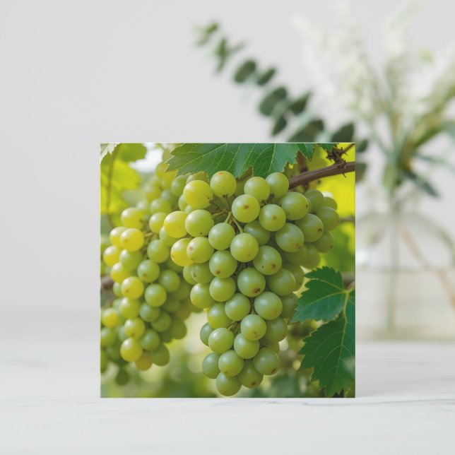 Cartão De Agradecimento Uva Verde Fresca (Em pé/Frente)