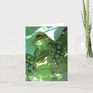 Cartão De Agradecimento Uvas nas Videiras Obrigado