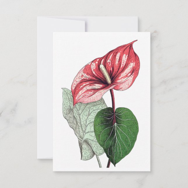 Cartão De Agradecimento Vazio de Flor Tropical de Anthurium (Frente)