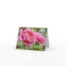 Vazio Flor Rosa Floral