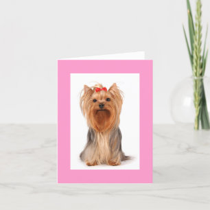 Cartão De Agradecimento Vazio Yorkshire Terrier Puppy Dog Notecard