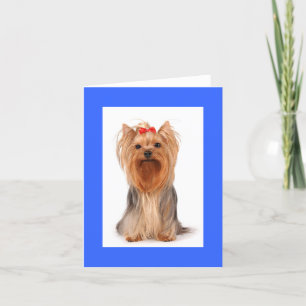 Cartão De Agradecimento Vazio Yorkshire Terrier Puppy Dog Notecard