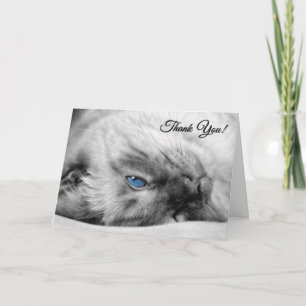 Cartão De Agradecimento Veterinário do Cat Siamese