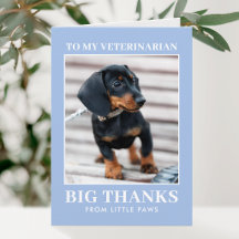 Veterinário Obrigado Foto de Cachorro Azul Moderno