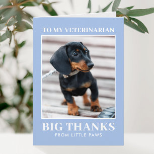 Cartão De Agradecimento Veterinário Obrigado Foto de Cachorro Azul Moderno