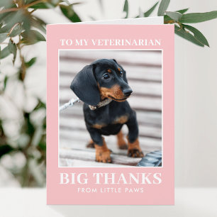 Cartão De Agradecimento Veterinário Obrigado Foto de Cachorro XOXO Rosa