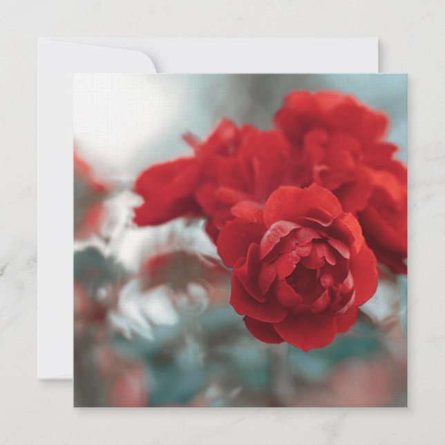 Cartão De Agradecimento Vibrant Red Rose Bloom Botanical Greeting Card (Frente)