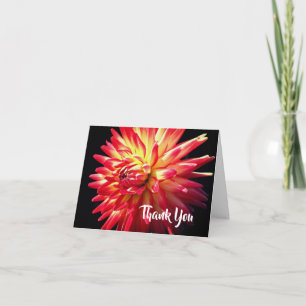 Cartão De Agradecimento Vibrante Flor de Dália Vermelha Obrigado
