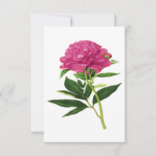 Cartão De Agradecimento Vintage Botanical Impressão, Fuchsia Pink Peony