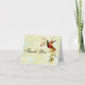 Cartão De Agradecimento Vintage Hummingbird Thank You