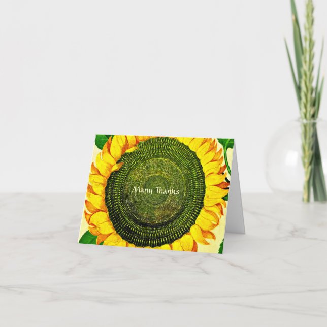 Cartão De Agradecimento Vintage SunflowerObrigado (Frente)