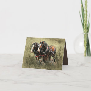 Cartão De Agradecimento Vintage Weathered Clydesdale Postcard