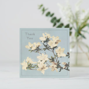 Cartão De Agradecimento Vintage White Cream Azalea Flowers