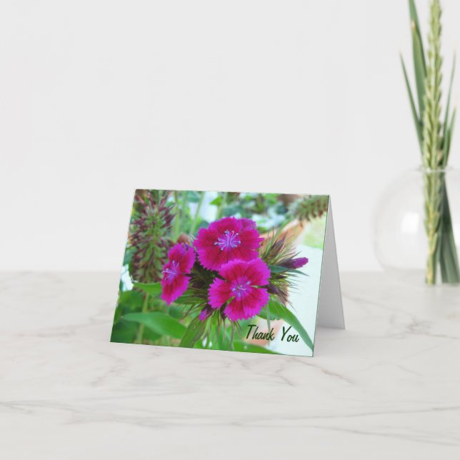 Cartão De Agradecimento Violet Sweet Williams - Floral Notecard (Frente)