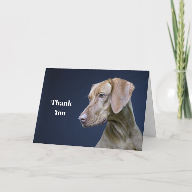 Cartão De Agradecimento Vizsla Brown Dog Photo (Frente)