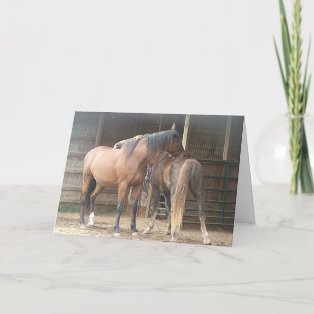 Cartão De Agradecimento Você Arranca As Minhas Costas........ (Frente)