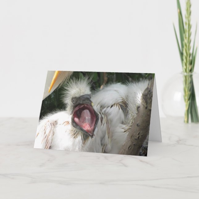 Cartão De Agradecimento Você é Maravilhoso (Frente)