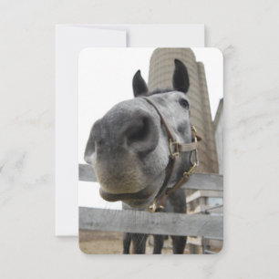Cartão De Agradecimento Wanna Horse por aí