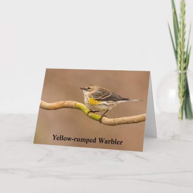 Cartão De Agradecimento Warbler Amarelo Perch (Frente)